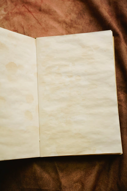 Whimsical Hobbit Journal
