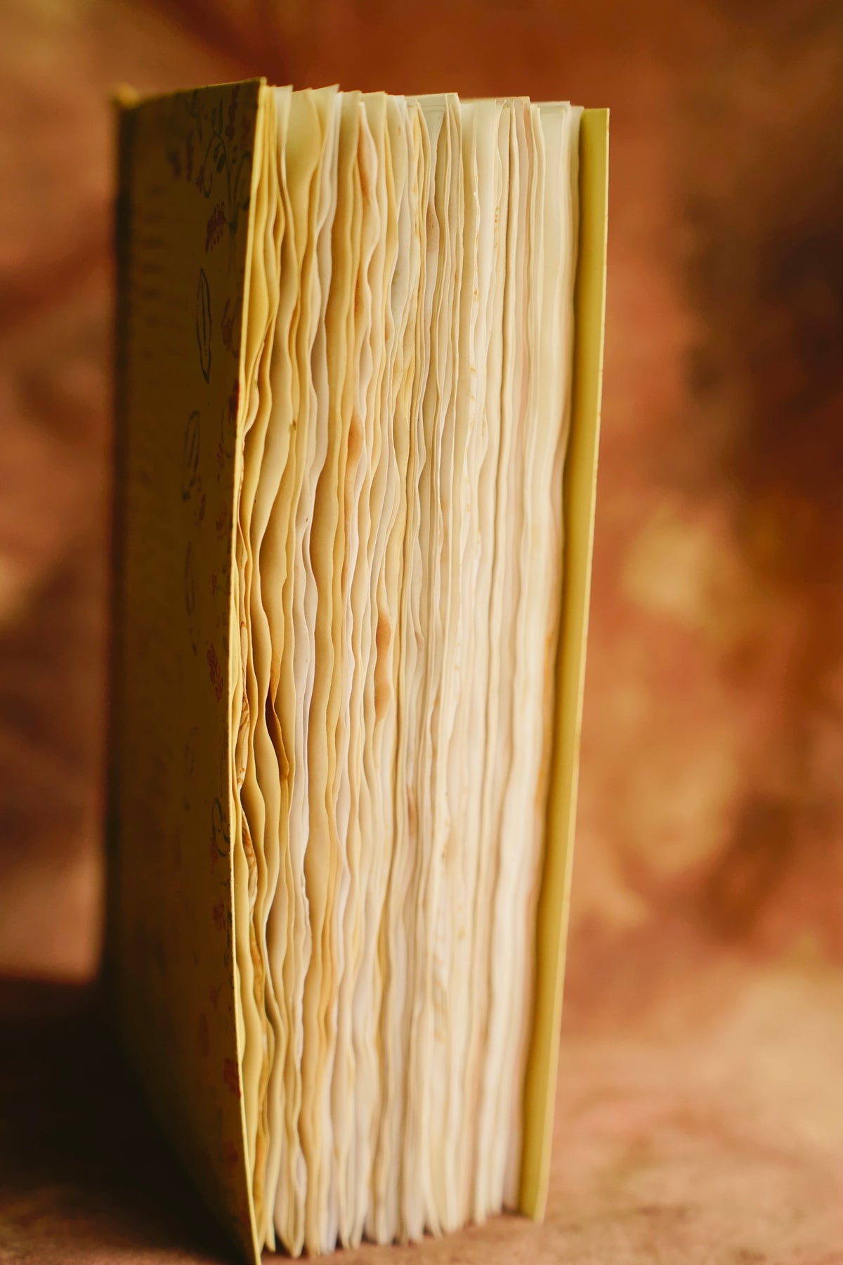 Whimsical Munchkin Journal