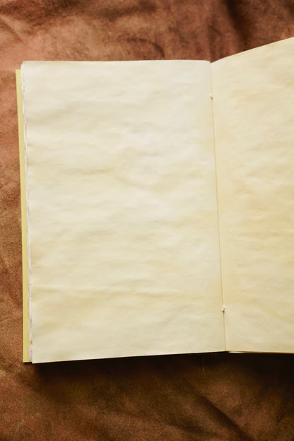 Whimsical Munchkin Journal