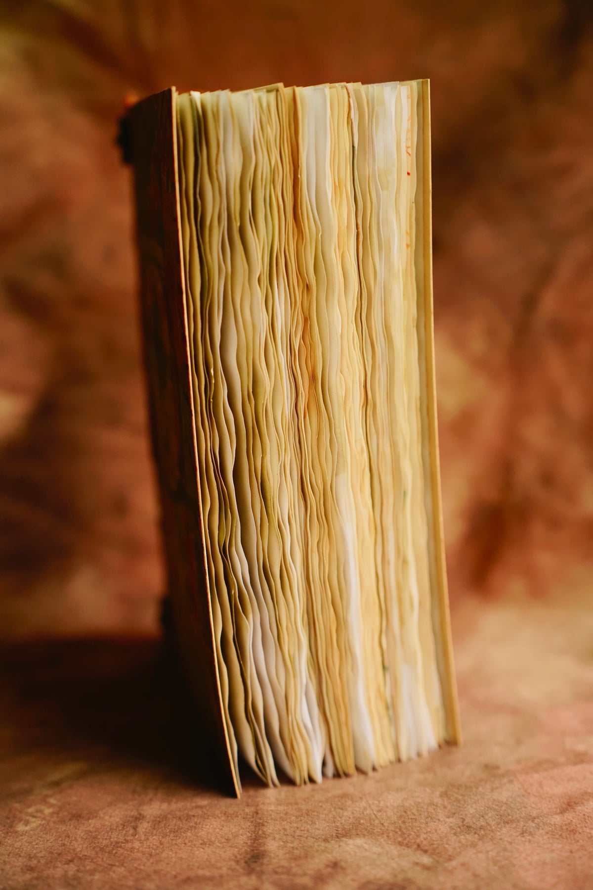 Whimsical Forest Journal