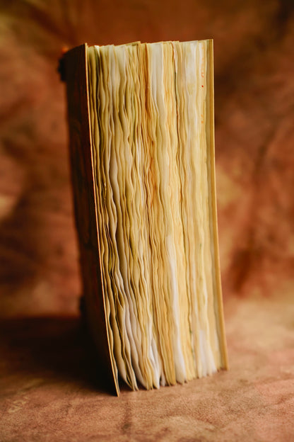 Whimsical Forest Journal